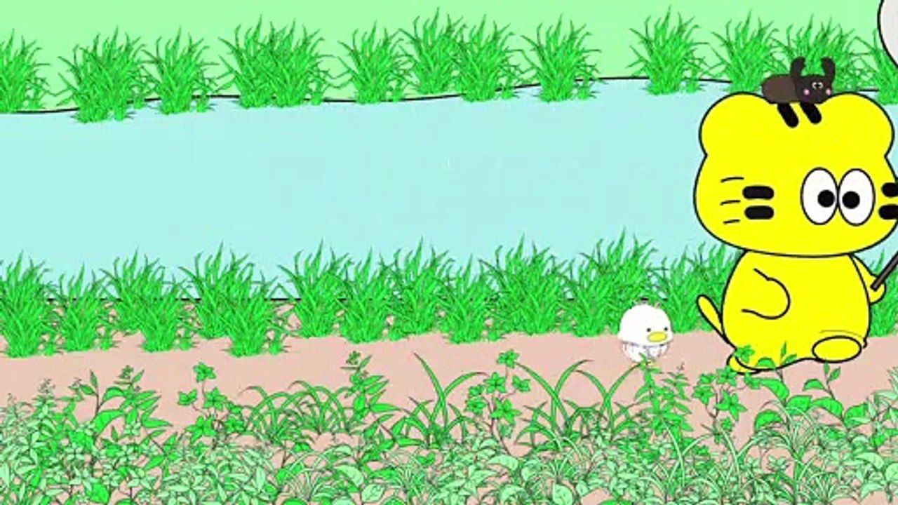 ひよこの冒険