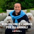 Silvio Berlusconi e il suo grande amore per gli animali