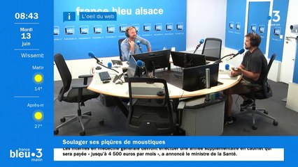 Heat It, une start-up de la région de Karlsruhe, lutte contre les piqûres