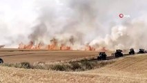 Diyarbakır’da yaklaşık bin dönümlük buğday tarlası küle döndü