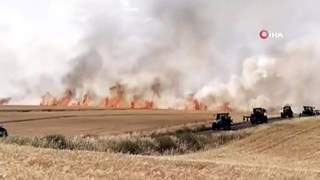 Diyarbakır’da yaklaşık bin dönümlük buğday tarlası küle döndü