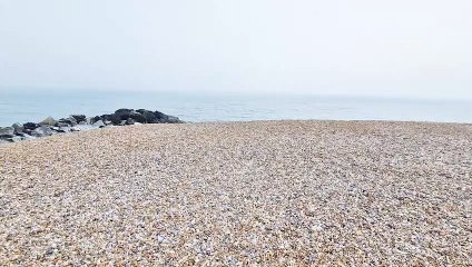 Concern for wildlife at coastal site in West Sussex