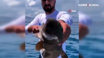 Antalyalı balıkçı şoke oldu! Oltasına 400 metre derinlikten 'ışık saçan köpek balığı' takıldı!