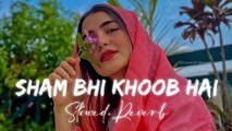 Shaam Bhi Khoob Hai lofi song .Karz _ Udit Narayan ( Slowed   Reverb )