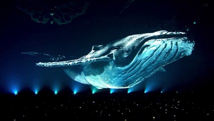 Eric Prydz presents HOLO: la inmersividad ya no requiere gafas 3D