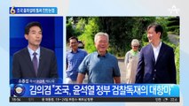 조국 출마설 반기지 못하는 민주당