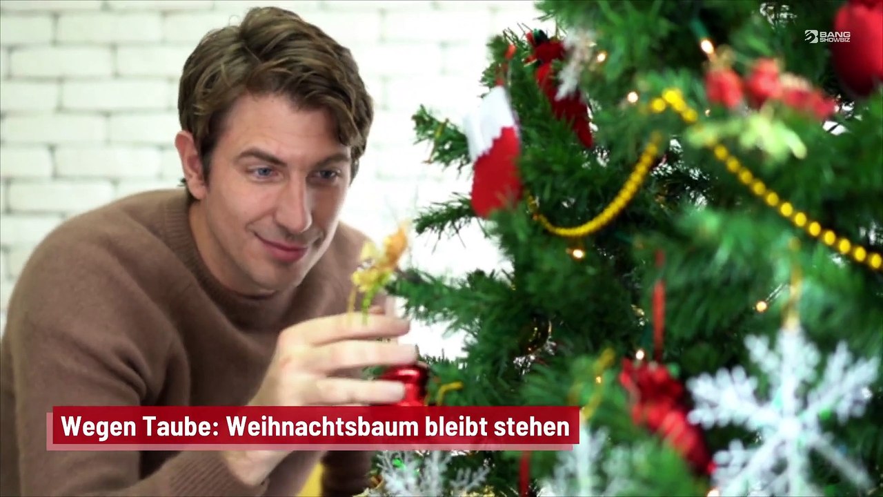 Wegen Taube: Weihnachtsbaum bleibt stehen