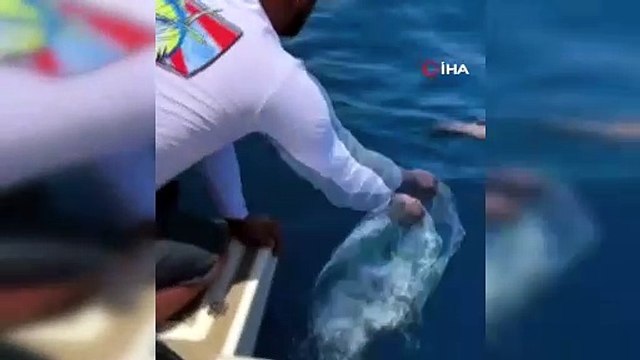 400 metre derinlikte oltaya takılan köpek balığı şoke etti