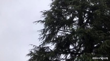 "Grazie in eterno presidente", lo striscione fuori Villa San Martino