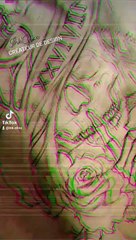 Conception/Flash TATTOO Black &Grey