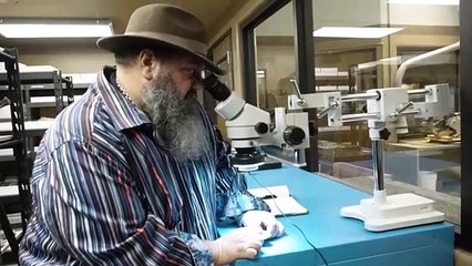 Danimarka'da Dünyanın En Büyük Dinozor Kafatası Sergileniyor