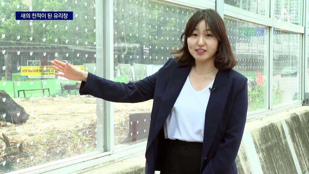 한 해 새 800만 마리 ‘쿵’…막을 길 있는데 조치 안 해