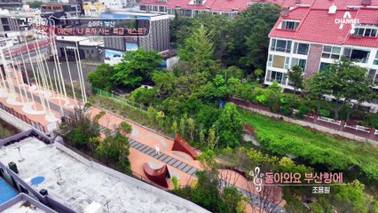 두심 기준 소개해 주고싶은 남자 1위?! 여전히 '나 혼자 사는' 특급 게스트 김광규✿