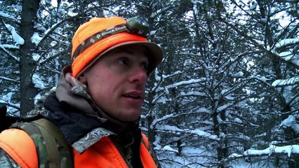 MeatEater - Local Motion Montana Bull Elk