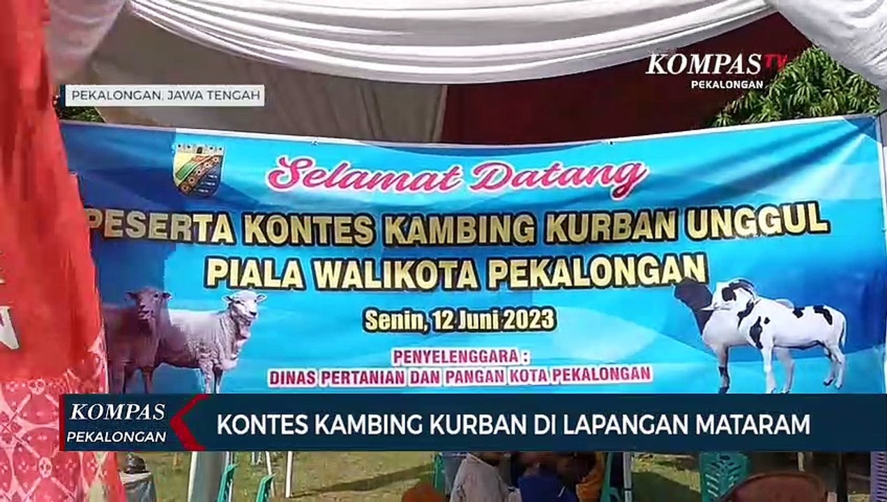 20 Peternak di Pekalongan Ikuti Kontes dan Bazar Kambing Kurban