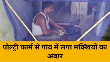 उन्नाव: इतनी मक्खियां देख सिर चकराया, लोग मच्छरदानी में खाना खाने को मजबूर