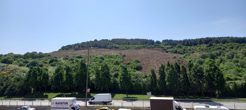 İstanbul'un göbeğinde ormanlık alanlar bir bir talan ediliyor