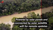 Solar-Powered Seed-Planting Robot Can Help Amazon Reforestation
