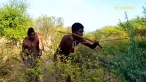 Rare Footage! Maasai Aborigines Risk Their Lives To Ambush In Front Of The Burrow To Hunt Leopard
