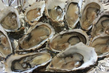 Un Hombre Muere Por Una Bacteria Carnívora Presente En Las Ostras