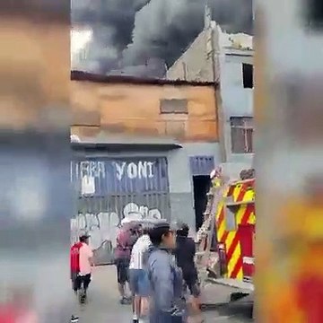 ¡Héroe! Un hombre en situación de calle rescató a 25 perros de un incendio en Perú