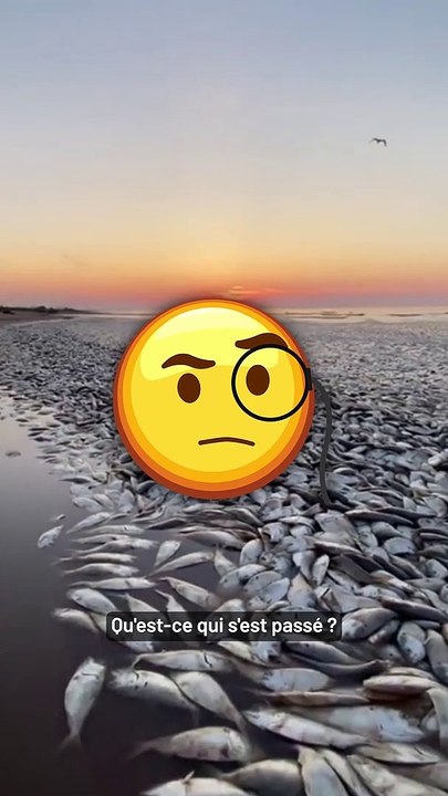 Des dizaines de milliers de poissons morts échoués au Texas ?