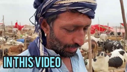 Mandi nahi ana abhi_ ALLAH reham kry