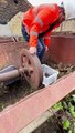 Yorkshire museum worker rescues ten ducklings from railway cart at Leeds Industrial Museum at Armley Mills