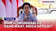 PDIP Buka Komunikasi dengan Demokrat, Memang Megawati Setuju?