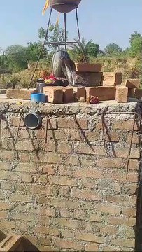 Watch the video... The snake was sitting on the Shivling with its hood