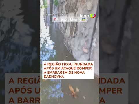 Veterinários resgatam animais de região alagada em Kherson, na Ucrânia