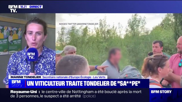 Marine Tondelier et Sandrine Rousseau insultées: Les écologistes peuvent être un bouc émissaire idéal , pour Marine Tondelier (EELV)