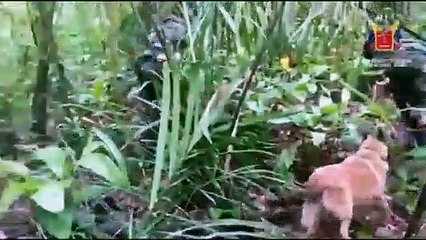 Ejército Busca a Wilson: ¿Qué Debes Saber?