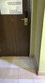 Un employé de chambre filme une tentative d'intrusion dans une chambre de l'hotel