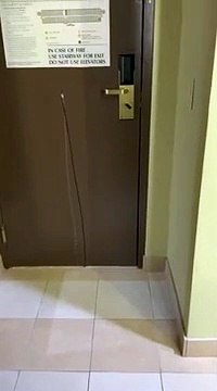 Un employé de chambre filme une tentative d'intrusion dans une chambre de l'hotel