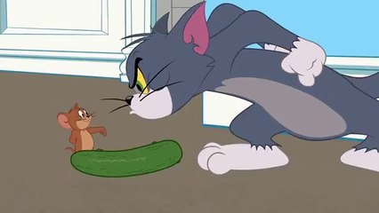 The Tom and Jerry Show | Cats vs Cucumbers | Sohaif Group/USA /India vs Australia /Sohaif Group /USA /united state of America /Pakistan /