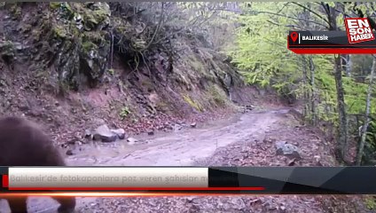 Balıkesir'de fotokapanlara poz veren şahıslar memleketlerine selam gönderdi