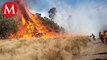 Reportan más de 600 incendios forestales en Michoacán