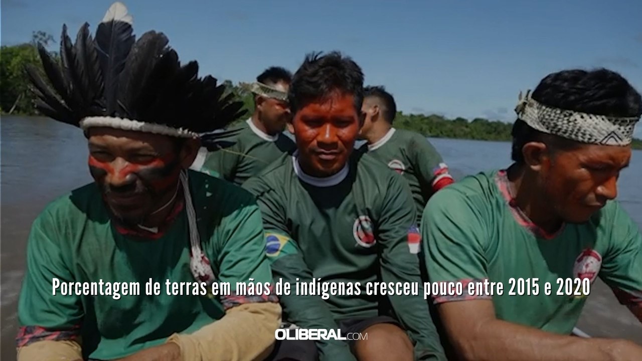 Porcentagem de terras em mãos de indígenas cresceu pouco entre 2015 e 2020