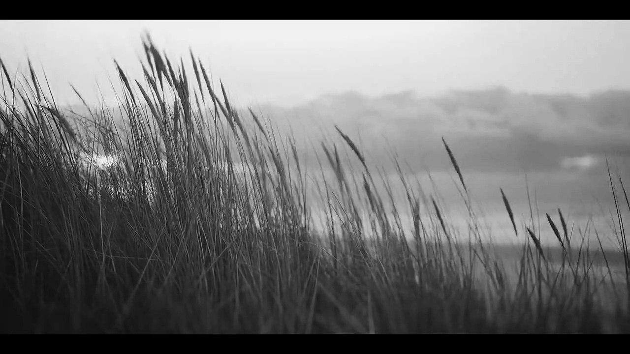 Ici le mistral souffle fort | movie | 0 | Official Trailer