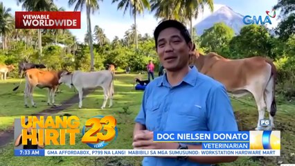 Doc Nielsen Donato, to the rescue sa mga hayop sa Albay | Unang Hirit