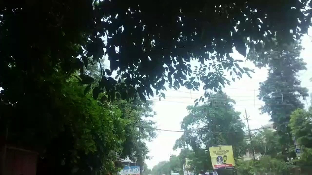 चक्रवाती तूफान बिपरजॉय के असर से यूपी के इन जिल...