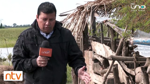 Animales muertos tras inundaciones en Cuatro Cañadas
