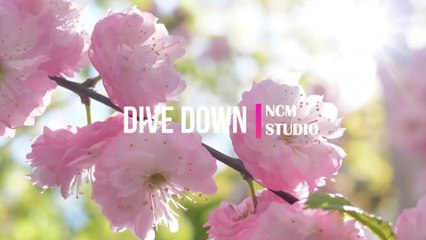 Dive Down - VYEN  Alternative Music, Bright Music, Chill Music