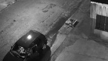 Imagens mostram motorista abandonando filhote de cachorro em Arapongas