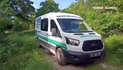 Kocaeli'de ormanda erkek cesedi bulundu