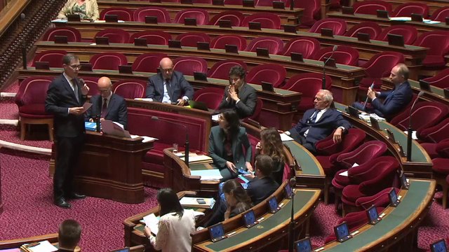 La majorité présidentielle a voulu la holding, la majorité sénatoriale l’a fait (Laurent Lafon)