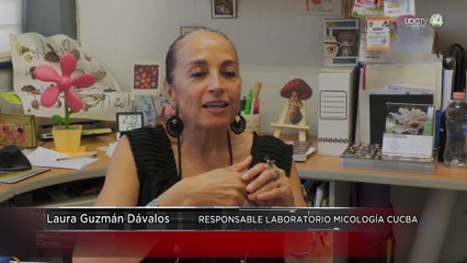 Investigadores de Hongos nos enseñarán a conocer y aprender a comerlos