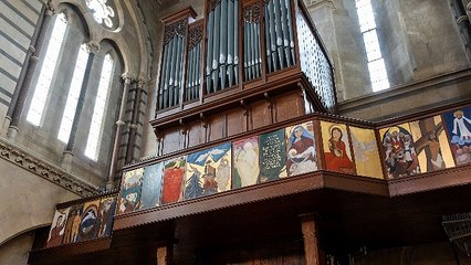 Organista Nova Milanese