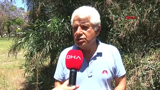 La moitié des poissons pêchés à l'anchois de dinde